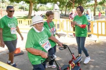  Unos 160 mayores de Telde dan un ejemplo de motivación en II carrera Pasos por la vida (Foto TA)